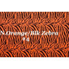 Sexy Neon Orange/Blk Zebra Teardrop Sling Bikini